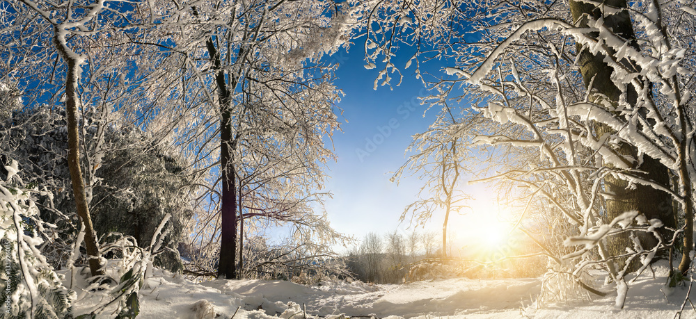 Verzauberte Winterlandschaft mit Sonne, Schnee auf Bäumen und blauem Himmel