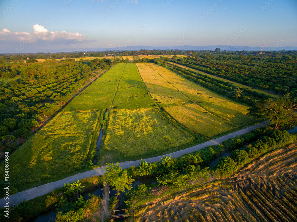 Terraced Rice Field in Chiangmai, Thailand top view