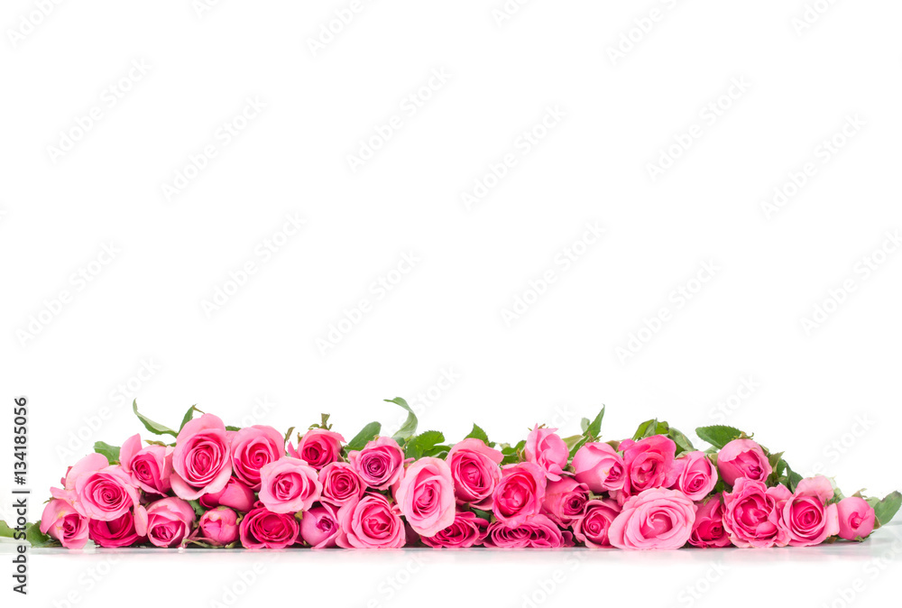 border of Beautiful fresh sweet pink rose for love 