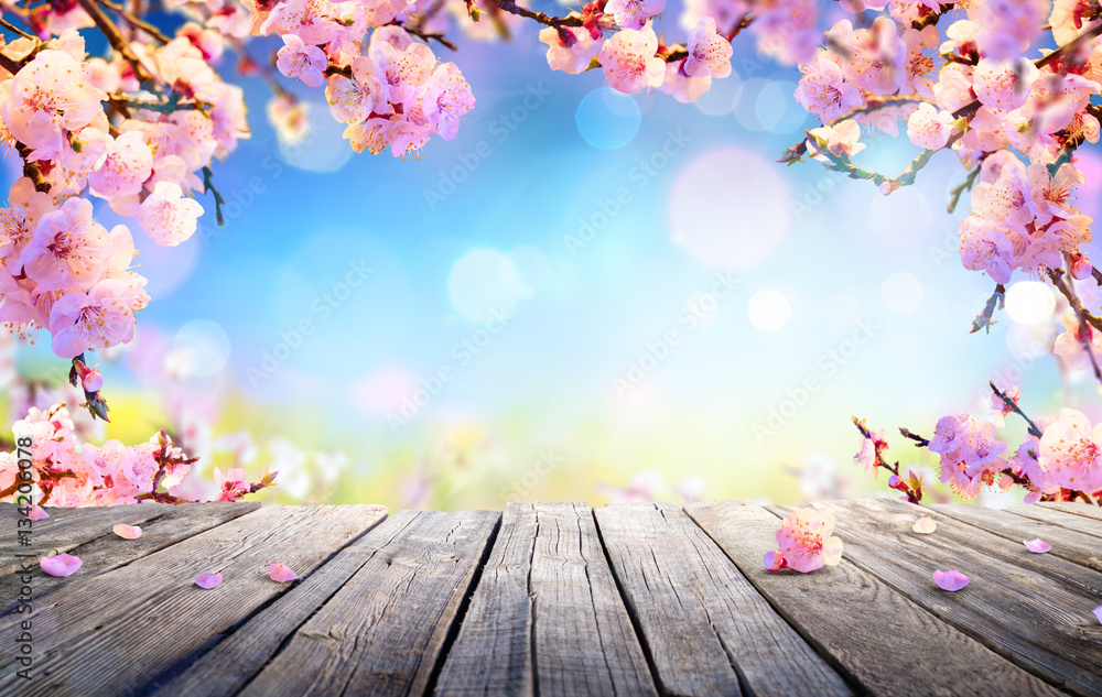 Spring Display - Pink Blossoms On Wooden Table
