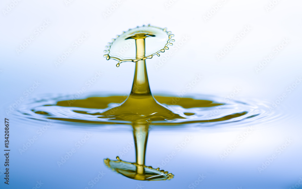 Water drop falling and drips on water mirror. Water drop splash and make perfect circles on surface