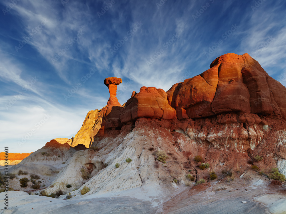 Toadstool Hoodoo