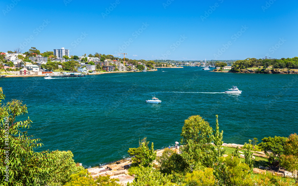 Yachts in Sydney Harbour as seen from Barangaroo Reserve Park