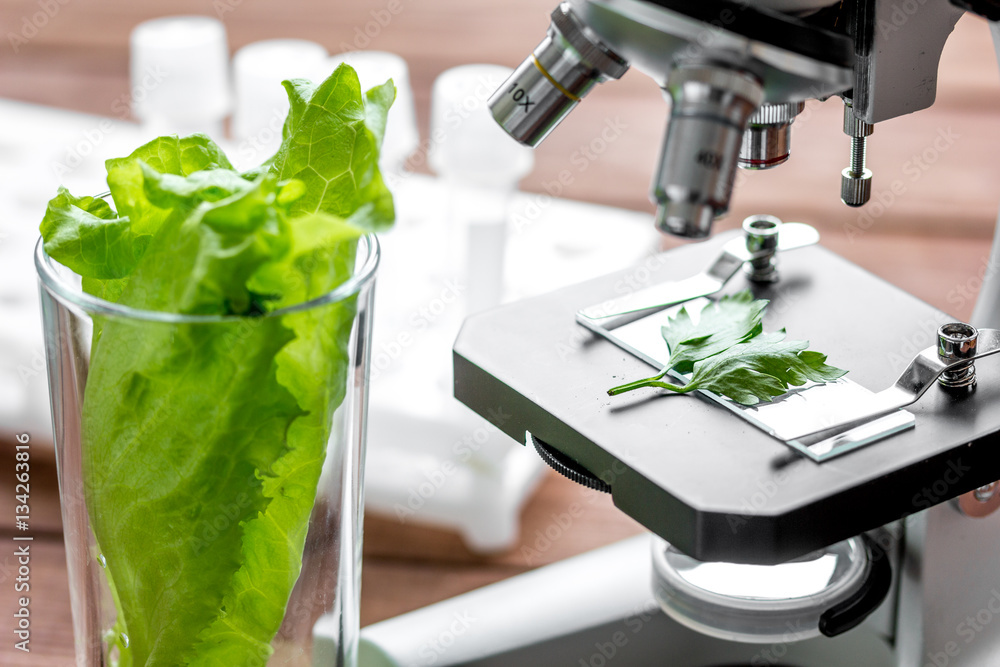 concept healthy food inspection herbs in laboratory