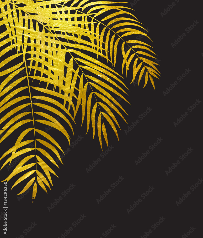 Beautifil Palm Tree Leaf  Silhouette Background Vector Illustrat