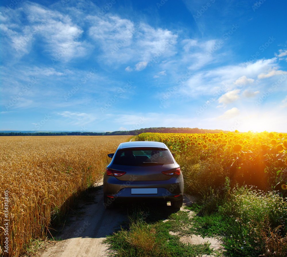 car on a field