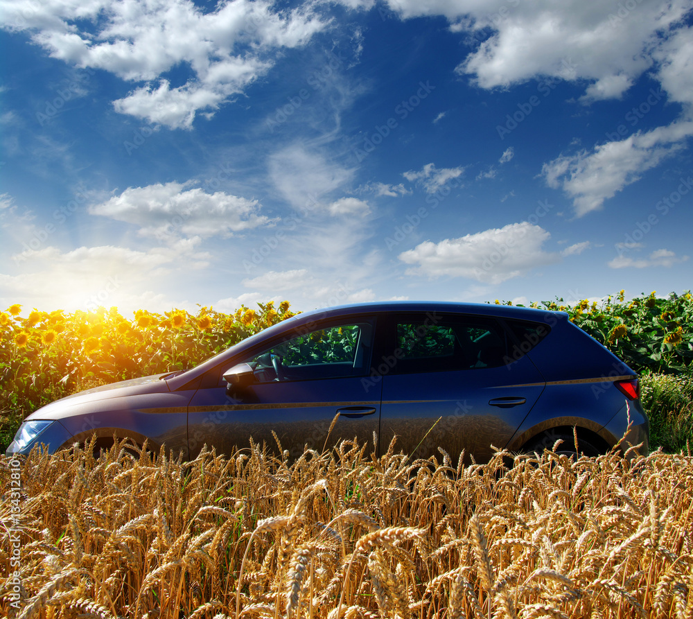 car on a field