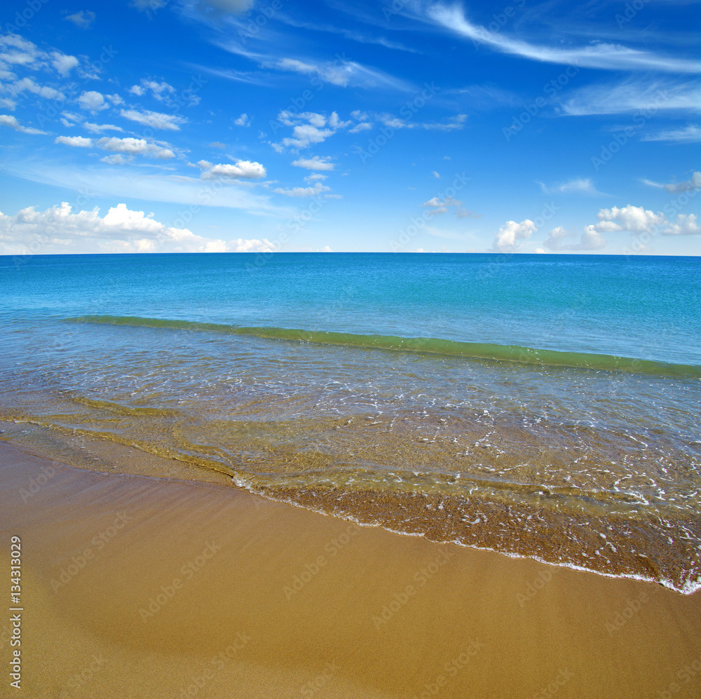 海滩与大海