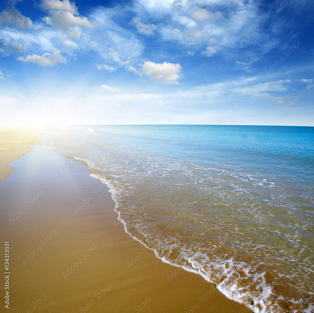 beach and sea