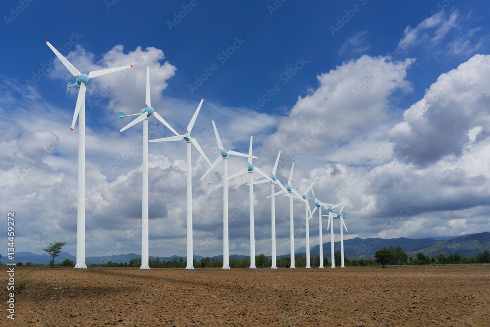 farmland with blue sky and clouds in spring