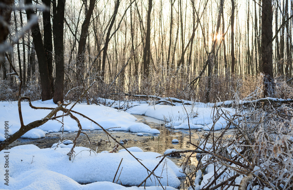 Winter landscape with creek in forest