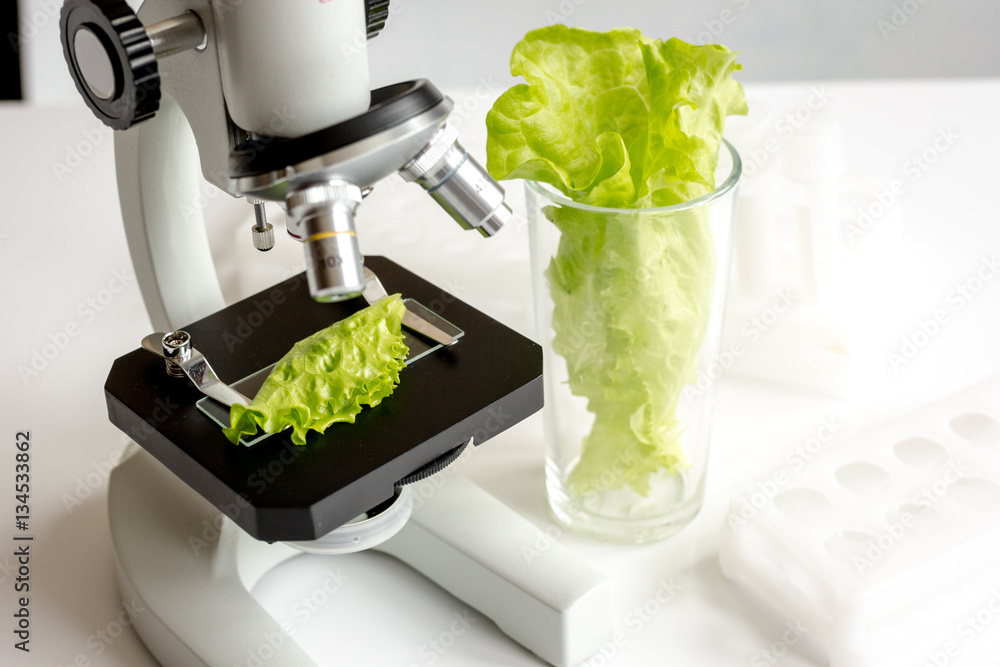 concept healthy food inspection herbs in laboratory