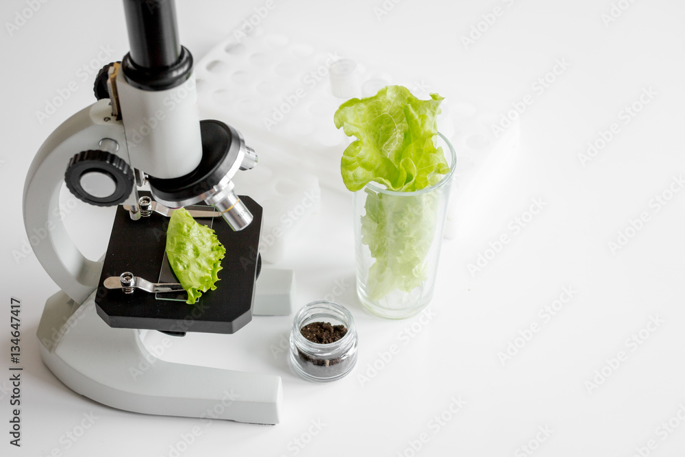 concept healthy food inspection herbs in laboratory