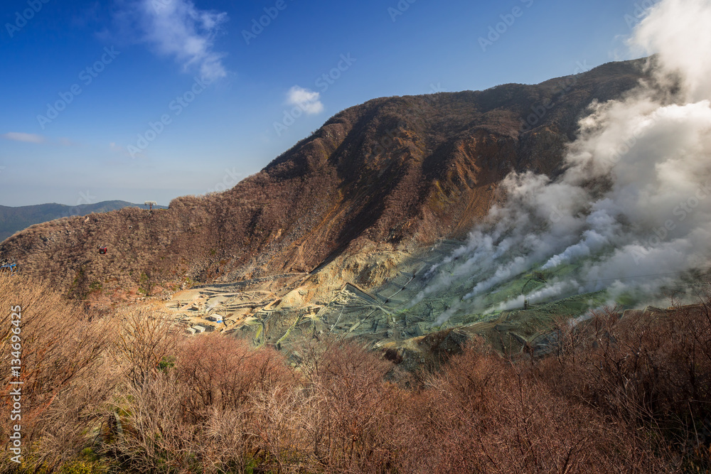 Active sulphur vents of Owakudani at Fuji volcano, Japan