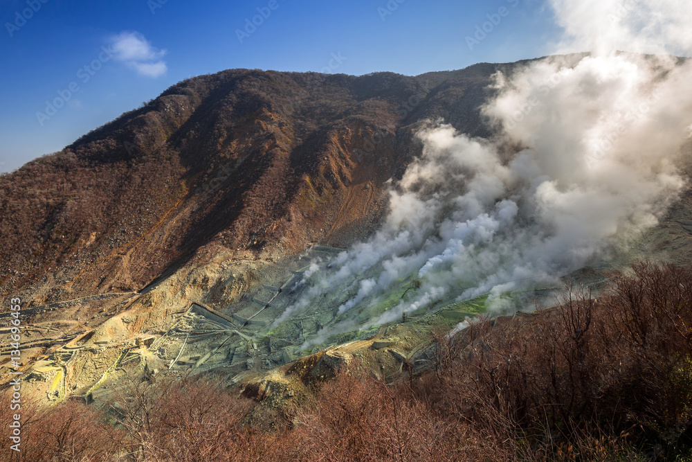 Active sulphur vents of Owakudani at Fuji volcano, Japan