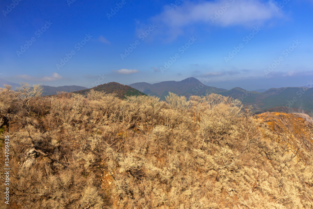 Active sulphur vents of Owakudani at Fuji volcano, Japan