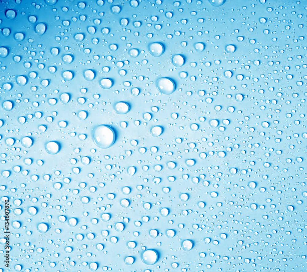 the water drop on fresh light blue  background