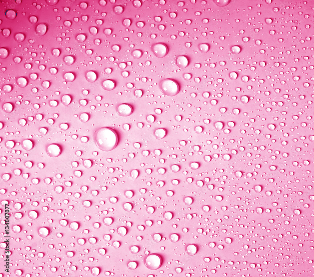 the water drop on fresh light pink  background