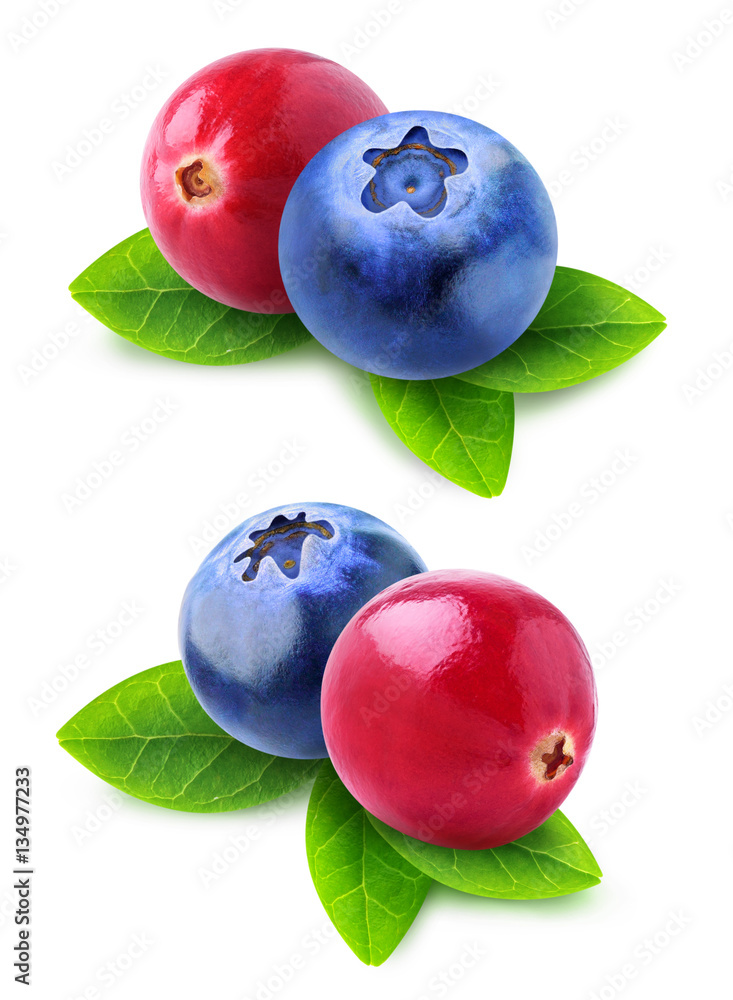 Isolated cranberry blueberry mix. Two images of berries with leaves isolated on white background wit