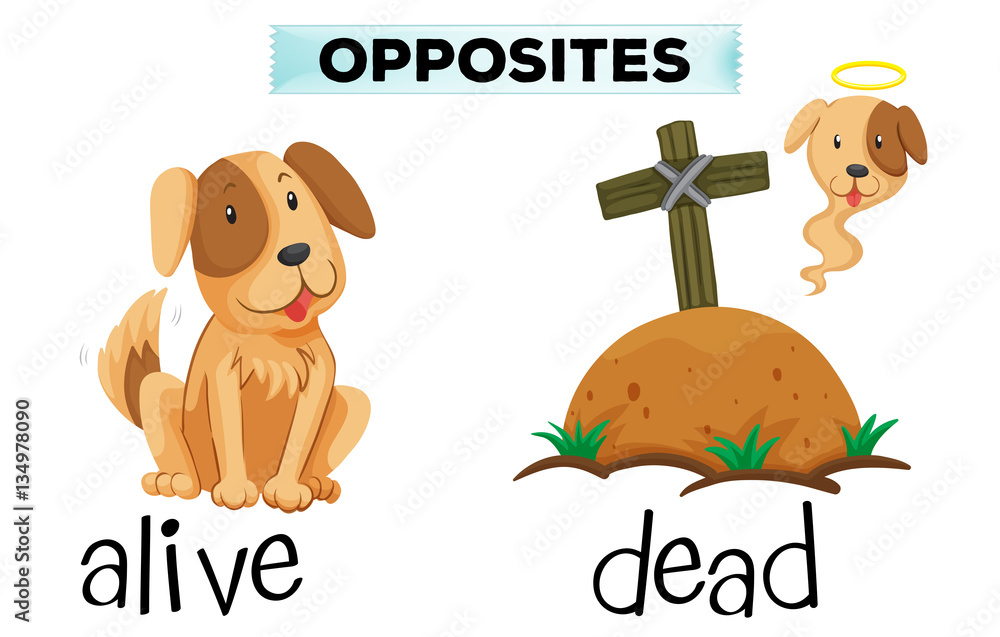 Opposite word for alive and dead