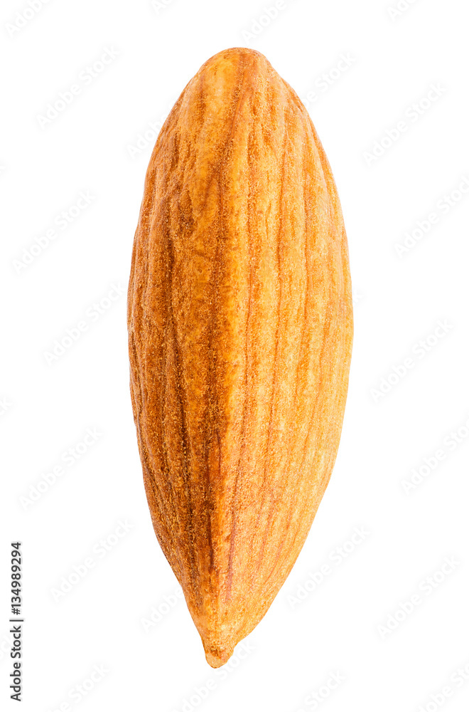 Almond isolated on a white background with clipping path. Macro.