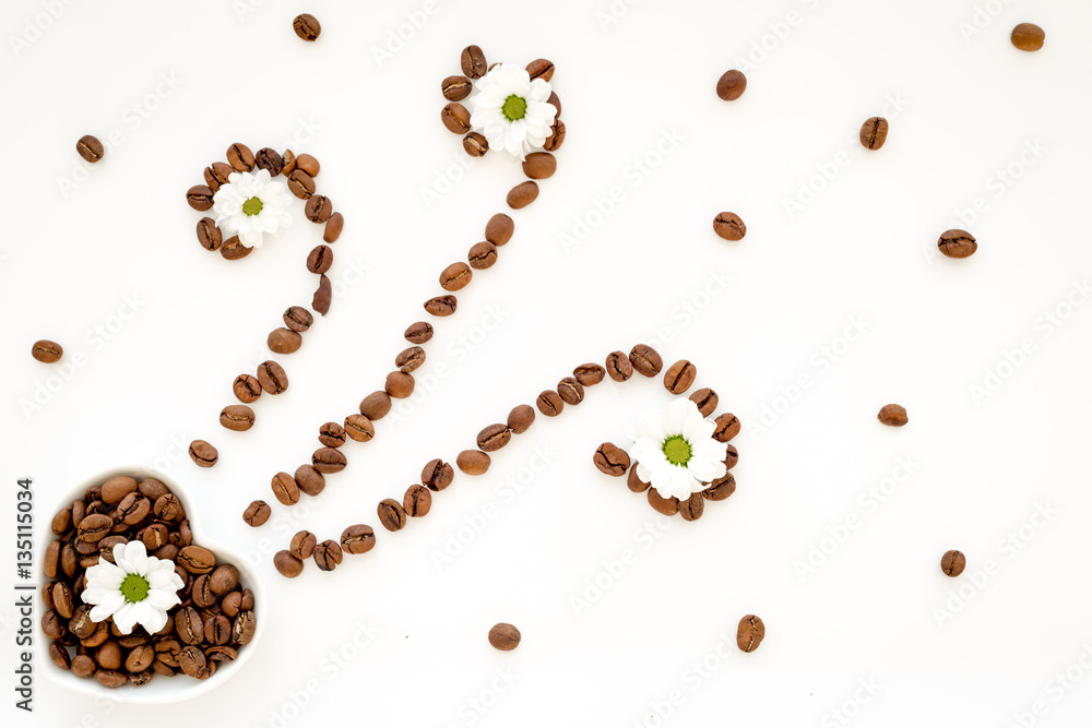 coffee beans on white table top view pattern