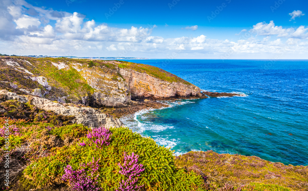 Cap Frehel半岛，布列塔尼，法国