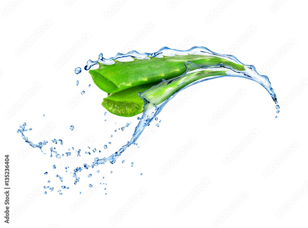 aloe vera with water splashes isolated on white background