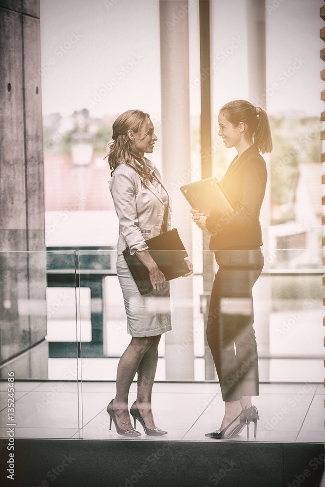 Businesswomen having conversation