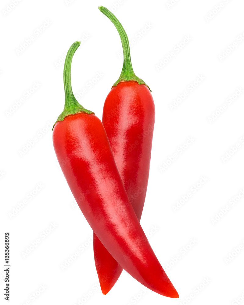 chili pepper isolated