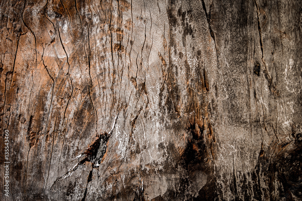 Old wood texture