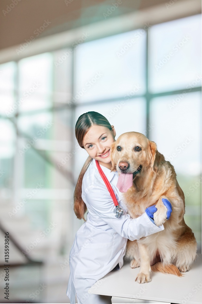 Veterinarian.