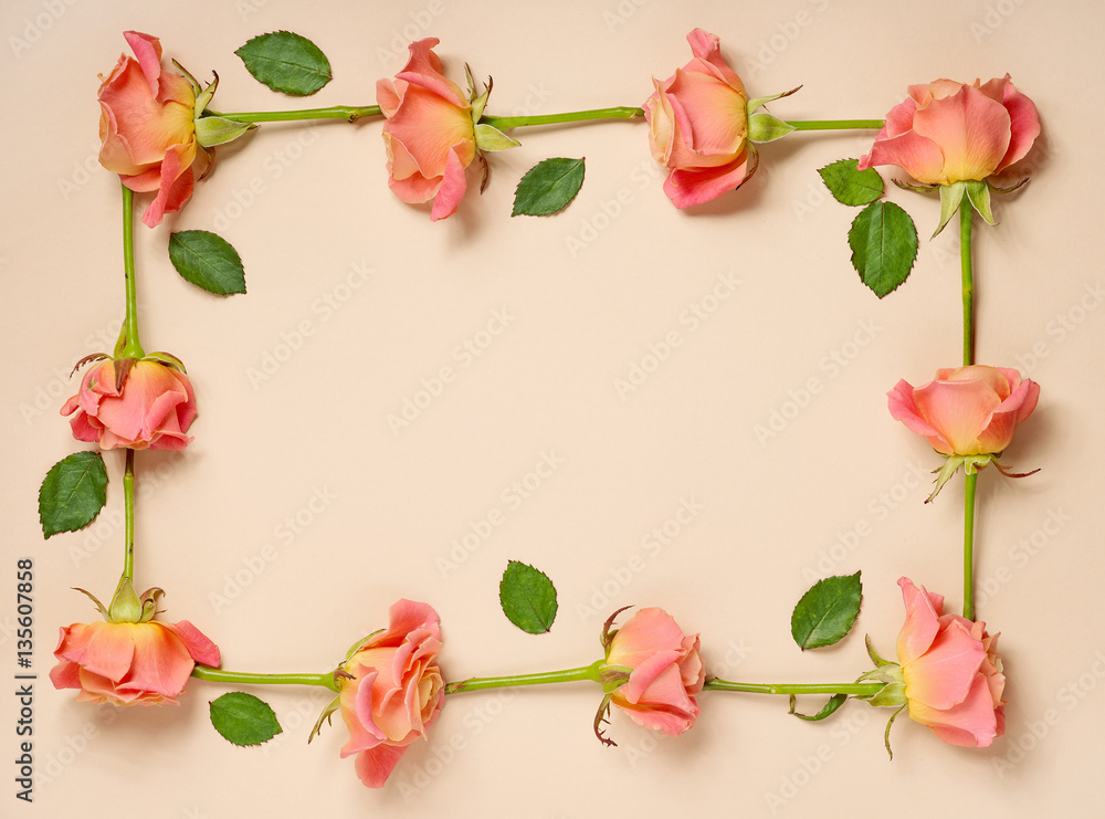 frame of pink roses