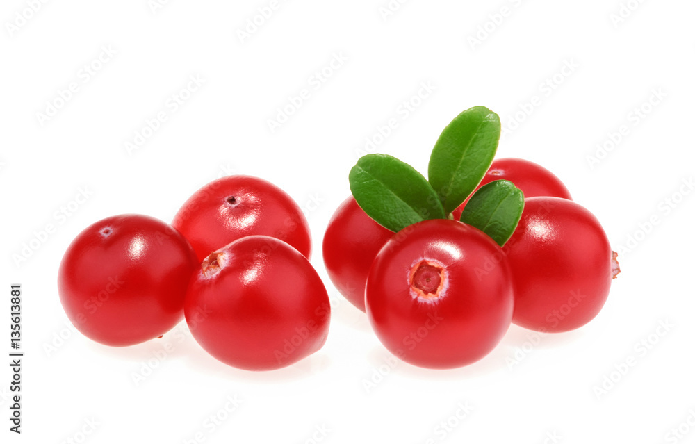 Cranberries isolated on white background