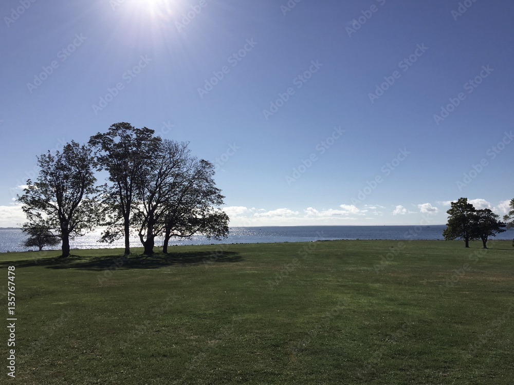 Beautiful Landscape background and the clear sky in summer 