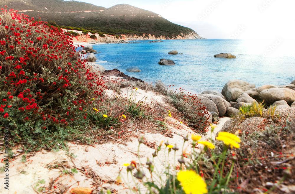 Spiaggia di Sardinia