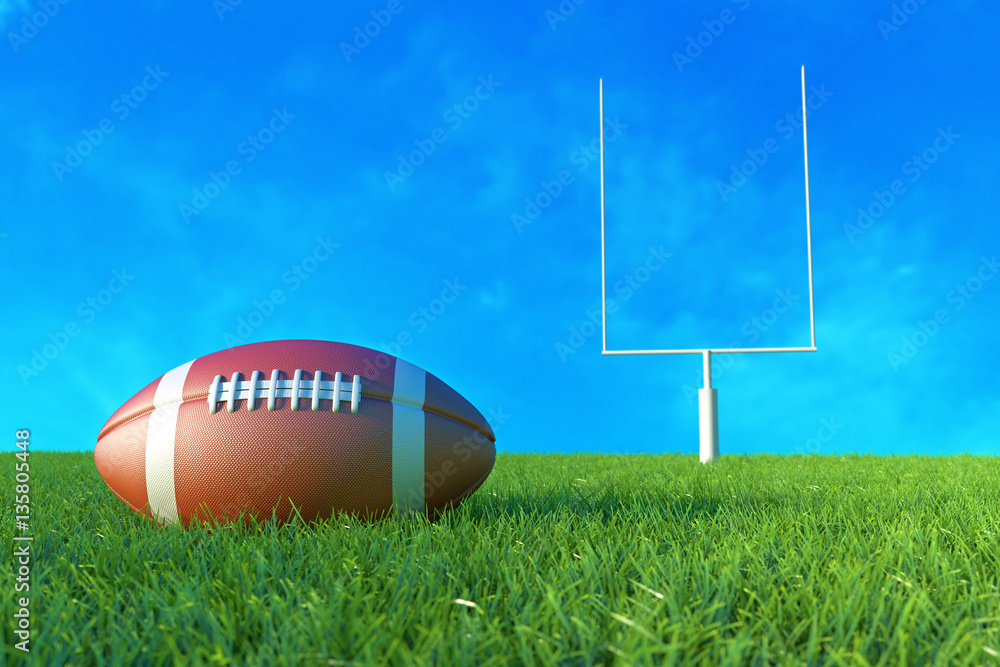 American Football on the Field. 3D illustration