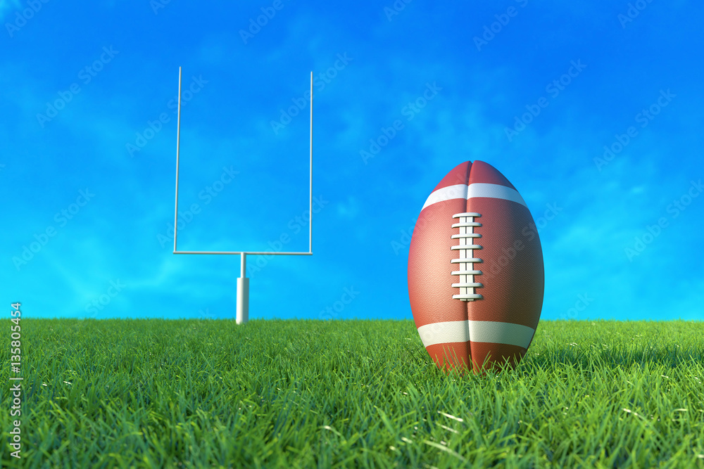 American Football on the Field. 3D illustration