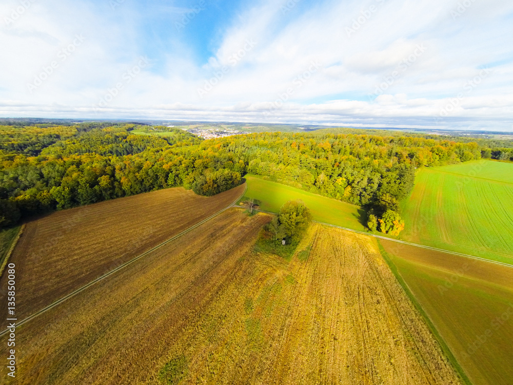 Aerial View Of Fields And Forest