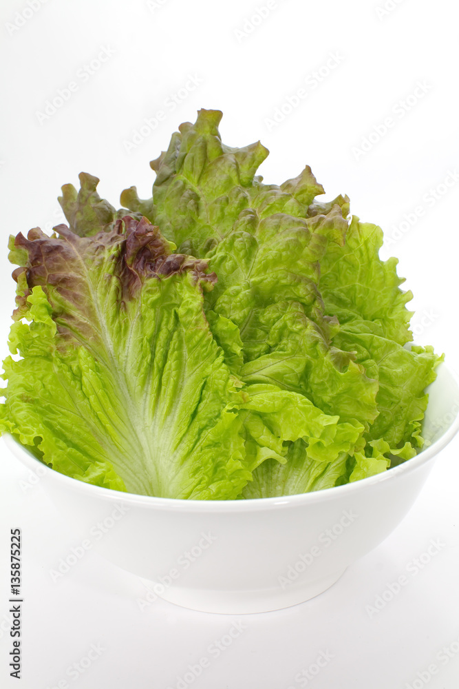 Fresh green lettuce leaf isolated on a white background