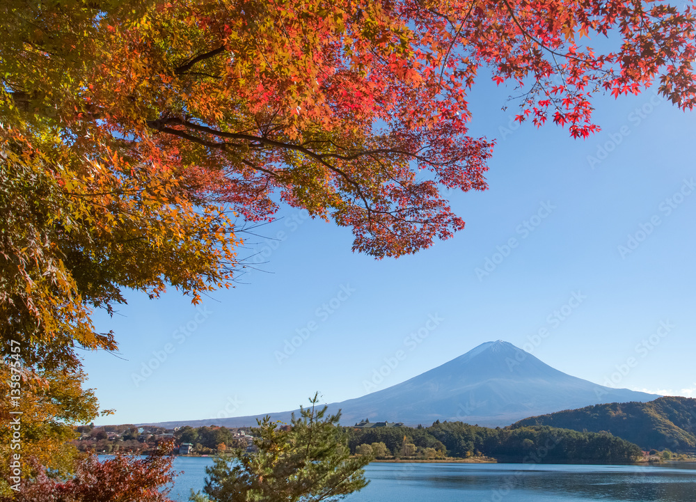 秋季河谷湖的秋树和富士山