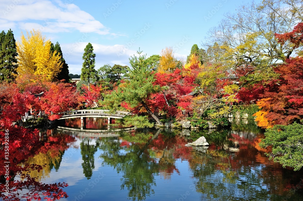 紅葉の永観堂