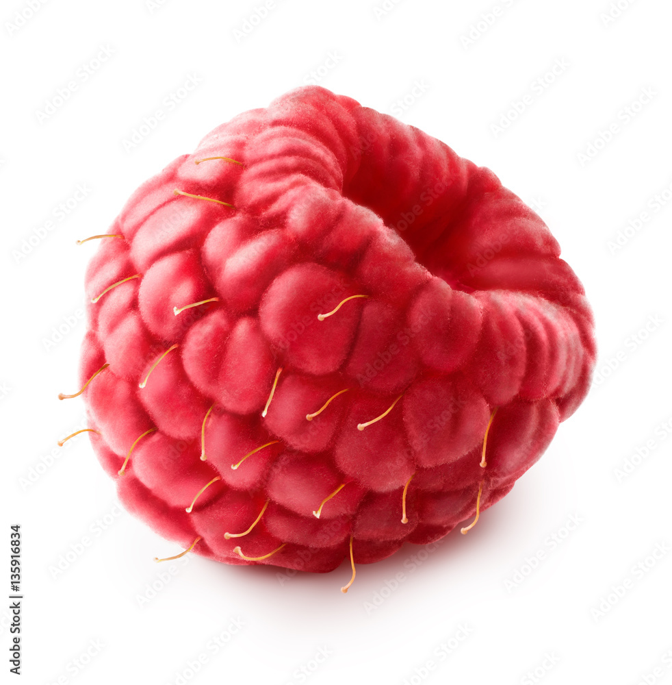 Isolated berry. One fresh raspberry fruit on white background with clipping path. Macro. Close up.