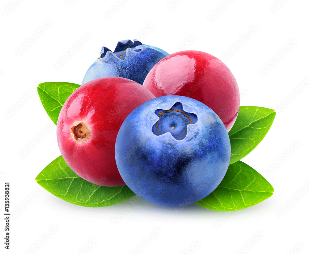 Isolated cranberries and blueberries. Mixed berries with leaves isolated on white background with cl