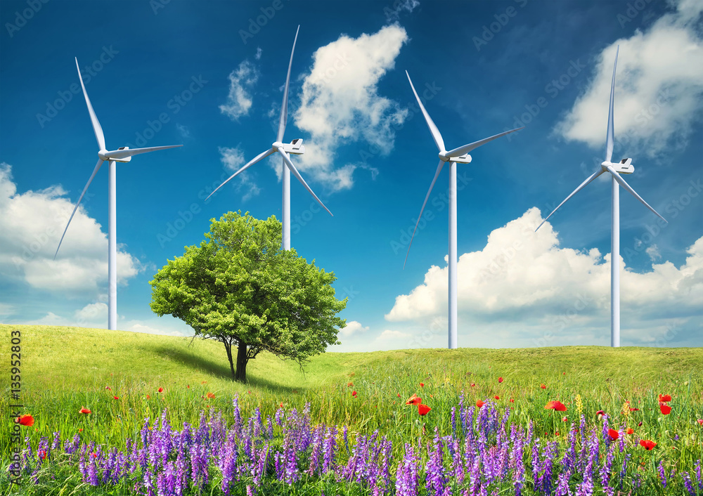 Tree on the flowers field. Beautiful summer landscape