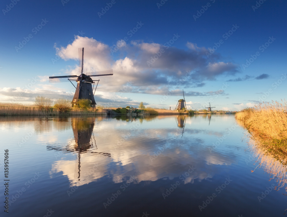 Windmills at sunrise. Rustic landscape with traditional dutch windmills near the water canals with b