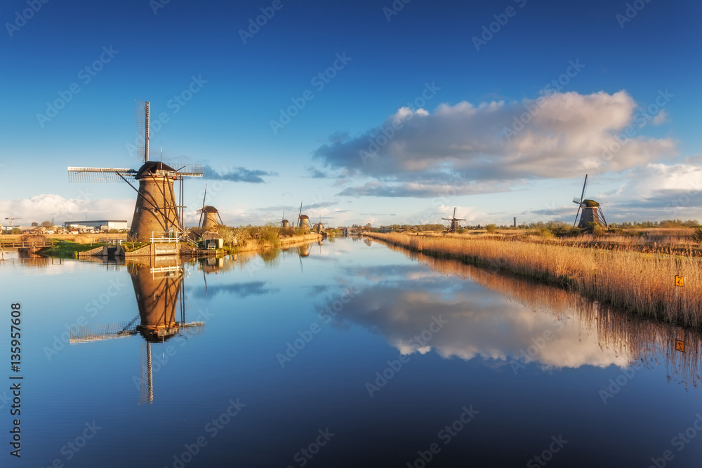 Windmills at sunrise. Rustic landscape with traditional dutch windmills near the water canals with b