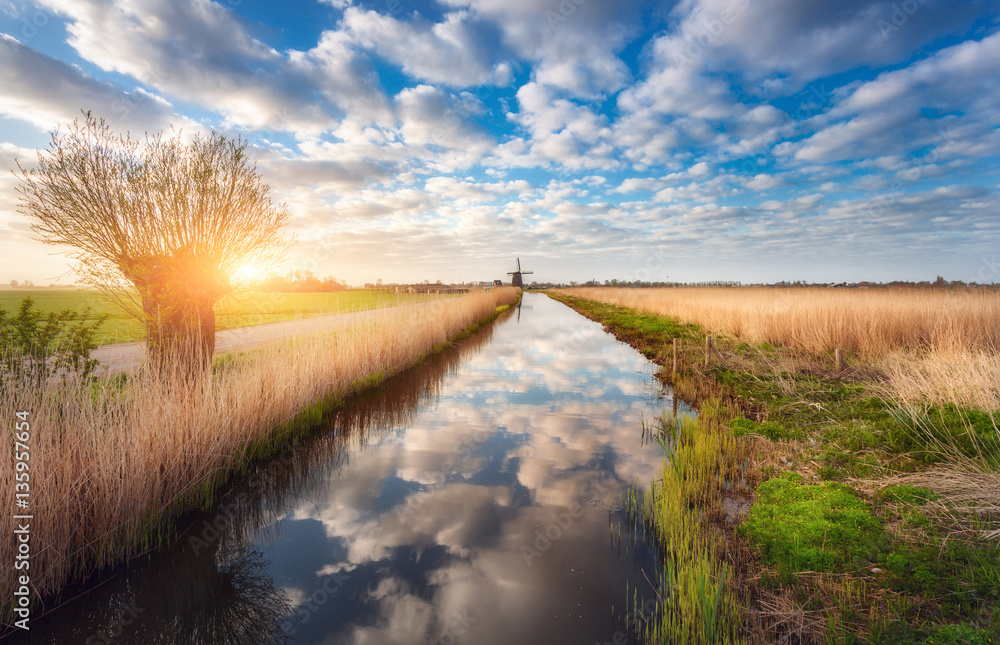 Fields near the water canal at sunrise in Netherlands. Tree against colorful blue sky with clouds. S