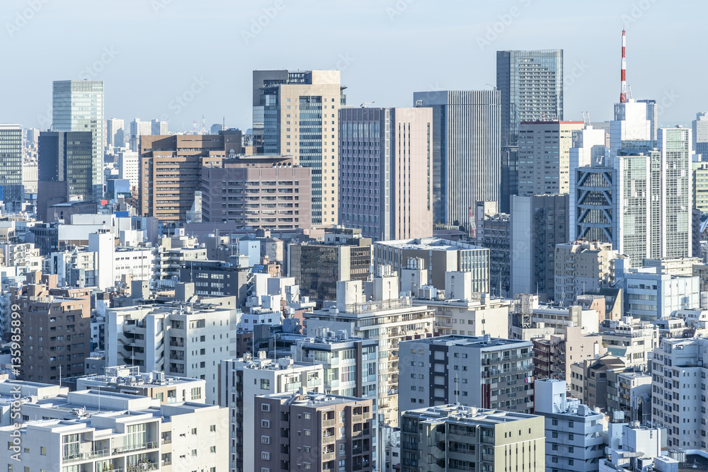 東京のビル郡