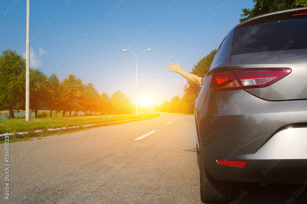 Car on asphalt road in nature